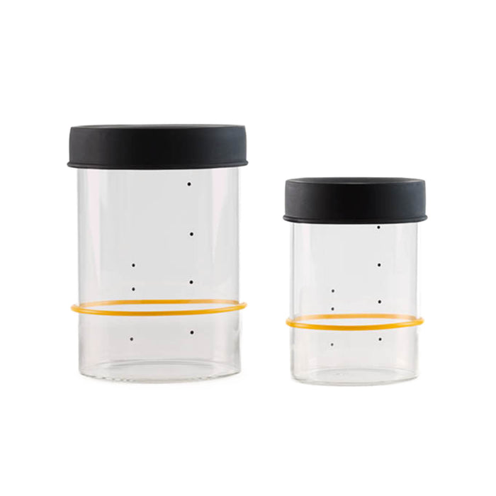 Sourhouse Starter Jar, Pint